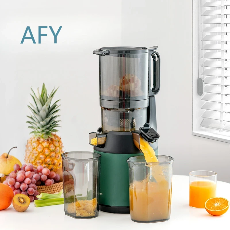 Estrattore di Succo a Freddo 2 - Electric Slow Juicer Cold Press recensione e prezzo