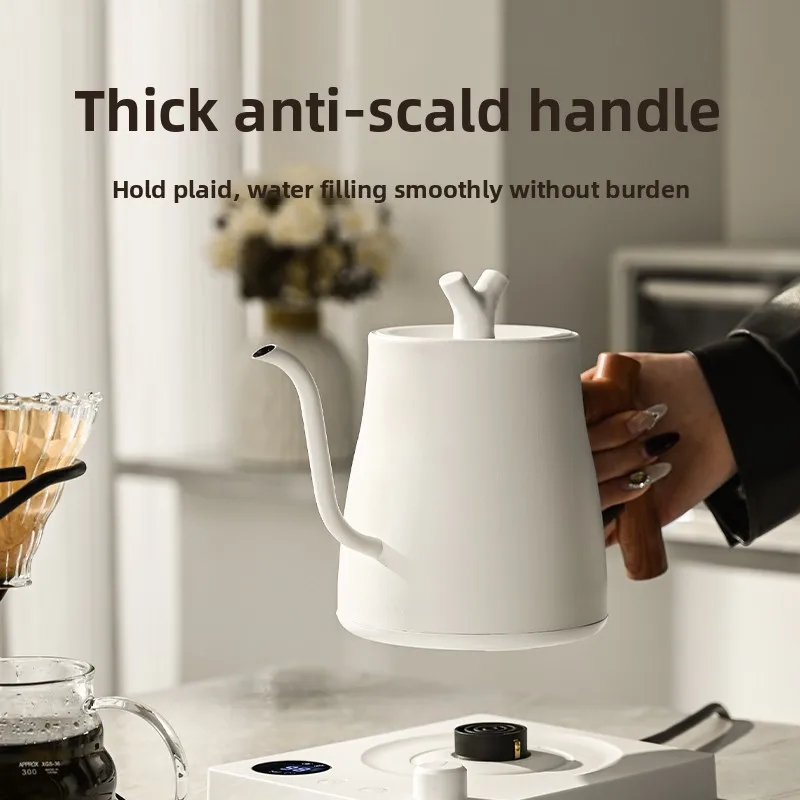Bollitore Elettrico a Collo d' - Electric Kettle Temperature Control recensione e prezzo