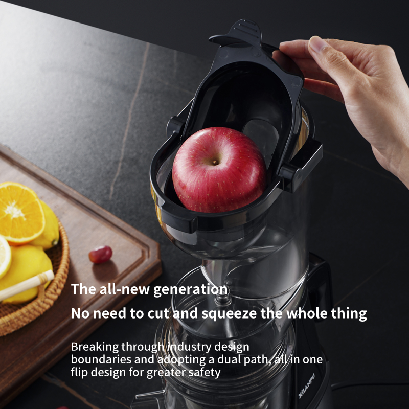 Estrattore di Succo Commercial - Electric Slow Juicer Cold Press recensione e prezzo