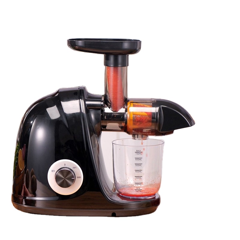 2026-Black Estrattore di Succo - Electric Slow Juicer Cold Press recensione e prezzo