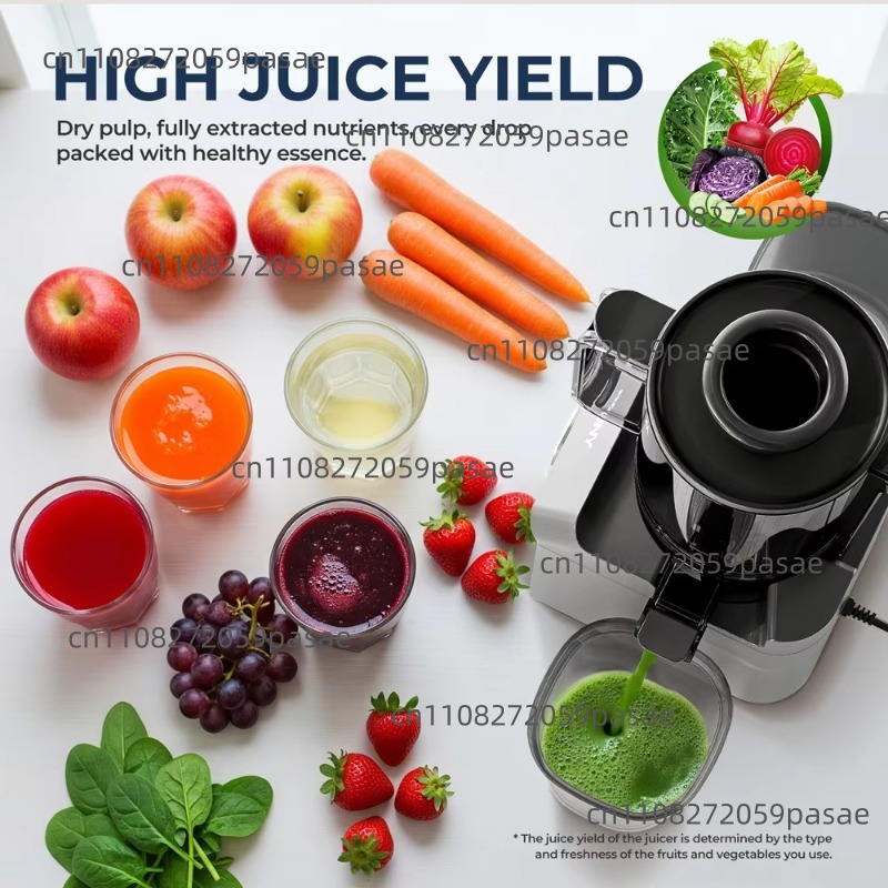 Centrifuga a bassa velocità a  - Electric Slow Juicer Cold Press recensione e prezzo