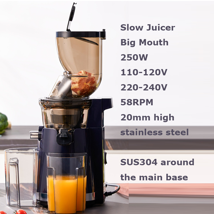 Estrattore di Succo Elettrico  - Electric Slow Juicer Cold Press recensione e prezzo