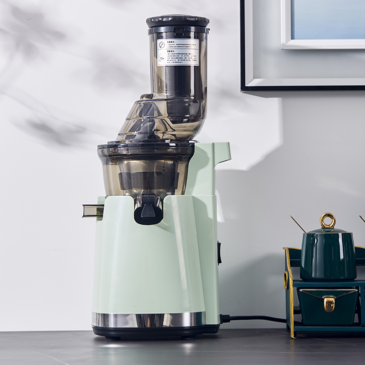 Estrattore di Succo Elettrico  - Electric Slow Juicer Cold Press recensione e prezzo