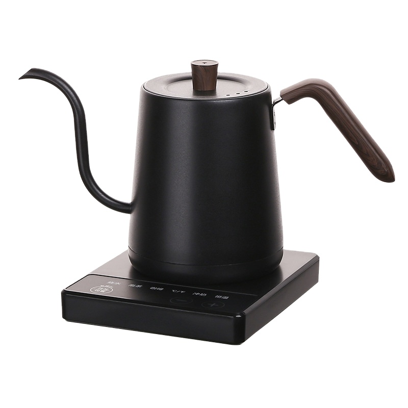 Bollitore Elettrico a Collo d' - Electric Kettle Temperature Control recensione e prezzo